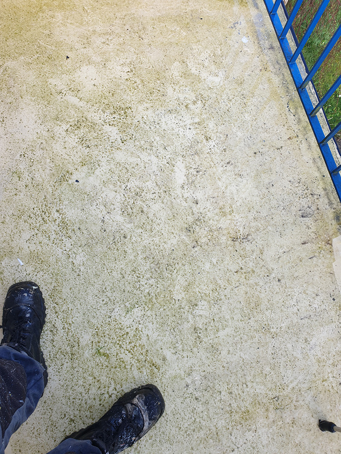 M.egatop 20190401 091907 Avant 91